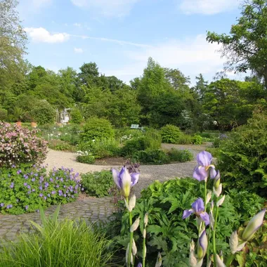 Botanischer Garten Kassel - Kassel bot garten staudengarten ds 05 2009