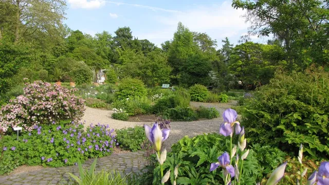 Botanischer Garten Kassel