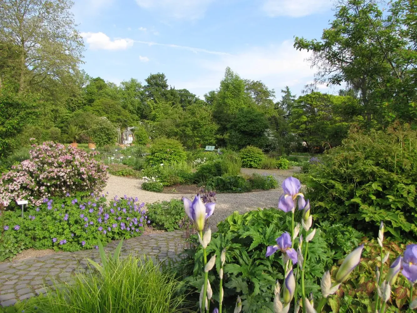 Botanischer Garten Kassel - Kassel bot garten staudengarten ds 05 2009