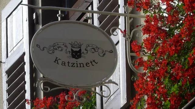 Katzinett