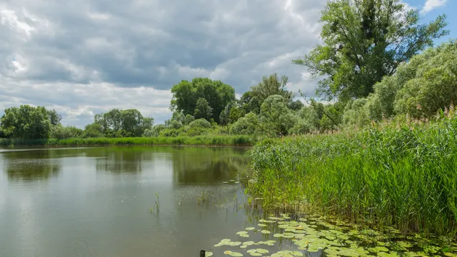 Schweriner Außensee