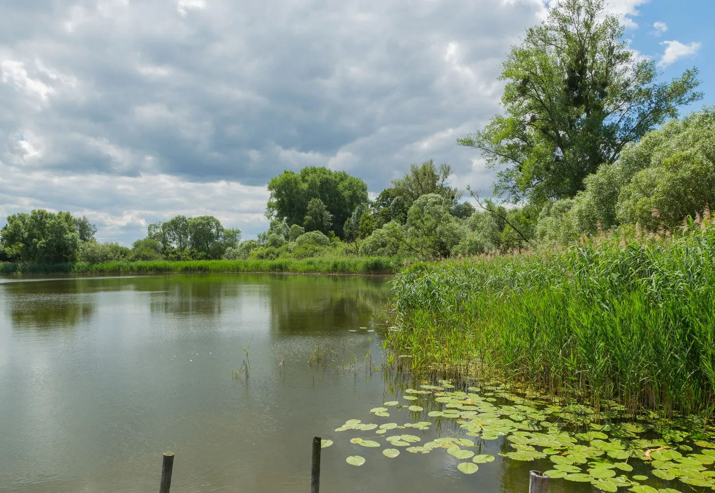 Schweriner Außensee - Kirchstuecker See 07