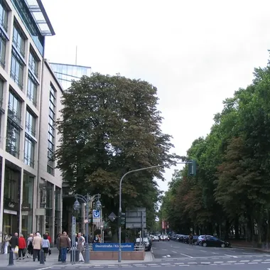 Königsallee - Königsallee Düsseldorf 2010-08-08