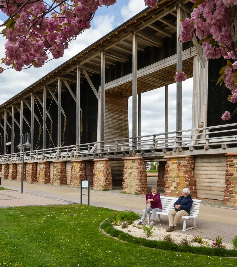 Mehr zu Deutsche Weinstraße und südliche Pfalz