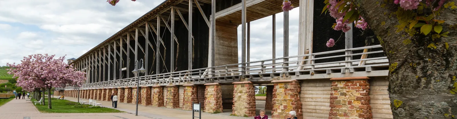 Deutsche Weinstraße und südliche Pfalz