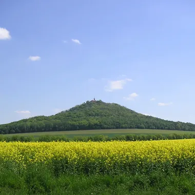 Landeskrone - Landeskrone