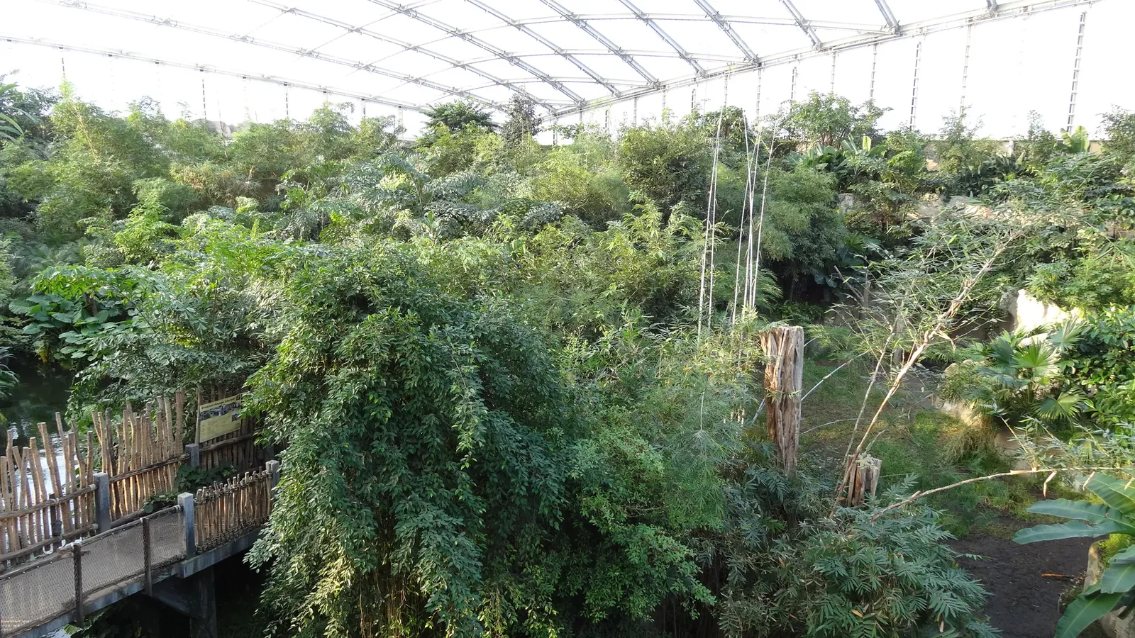 Zoo Leipzig und Gondwanaland - Leipziger Zoo DSC00768