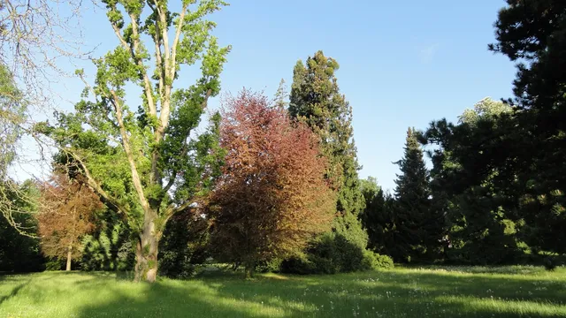 Gartendenkmal Lindenhofpark