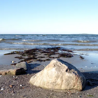 NSG Halbinsel Holniss-Flensburger Förde - LSG 59-SL-13 Flensburger Förde - Ohrfeldhaff (33)