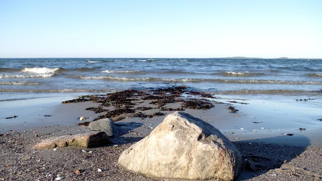 NSG Halbinsel Holniss-Flensburger Förde