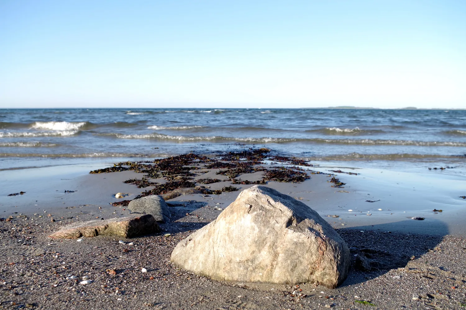 NSG Halbinsel Holniss-Flensburger Förde - LSG 59-SL-13 Flensburger Förde - Ohrfeldhaff (33)