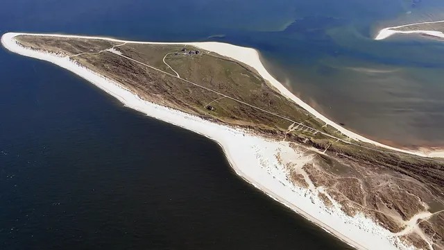 Ellenbogenspitze
