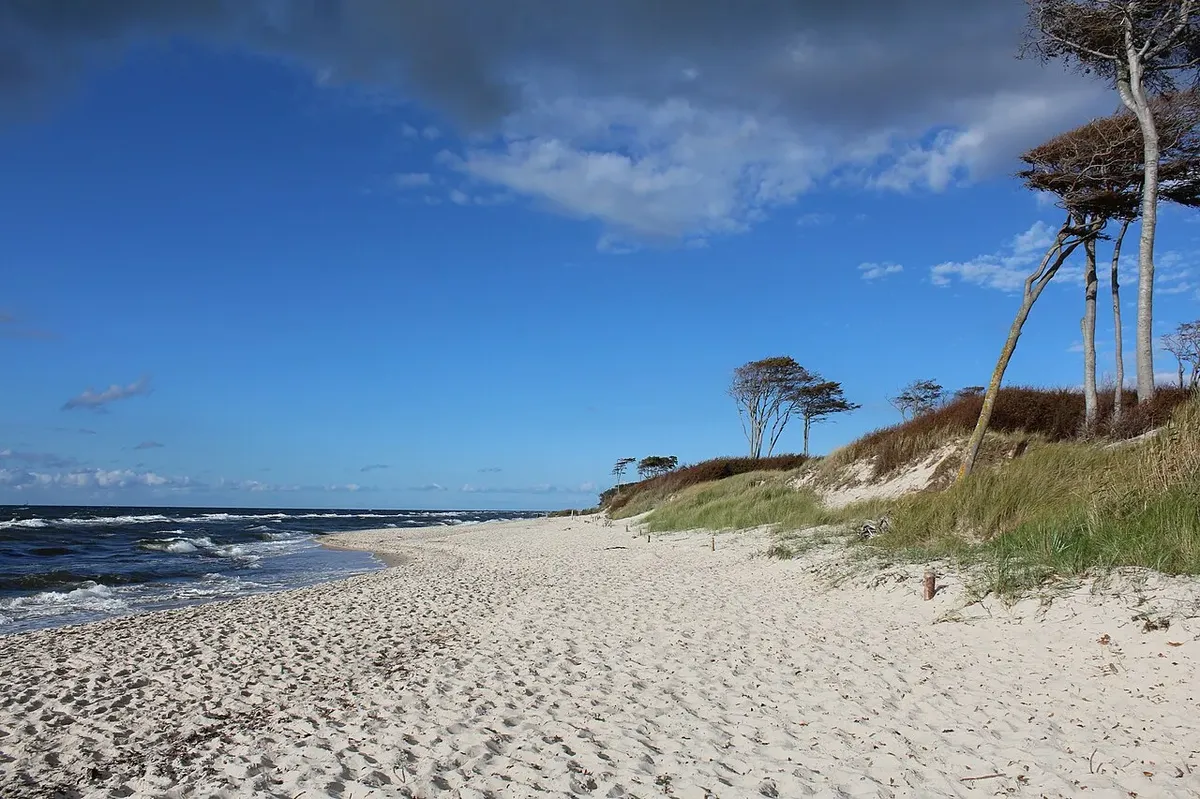umwelt meine_sammlung_1280px_weststrand_2km_s_c3_bcdlich_vom_dar_c3_9fer_ort