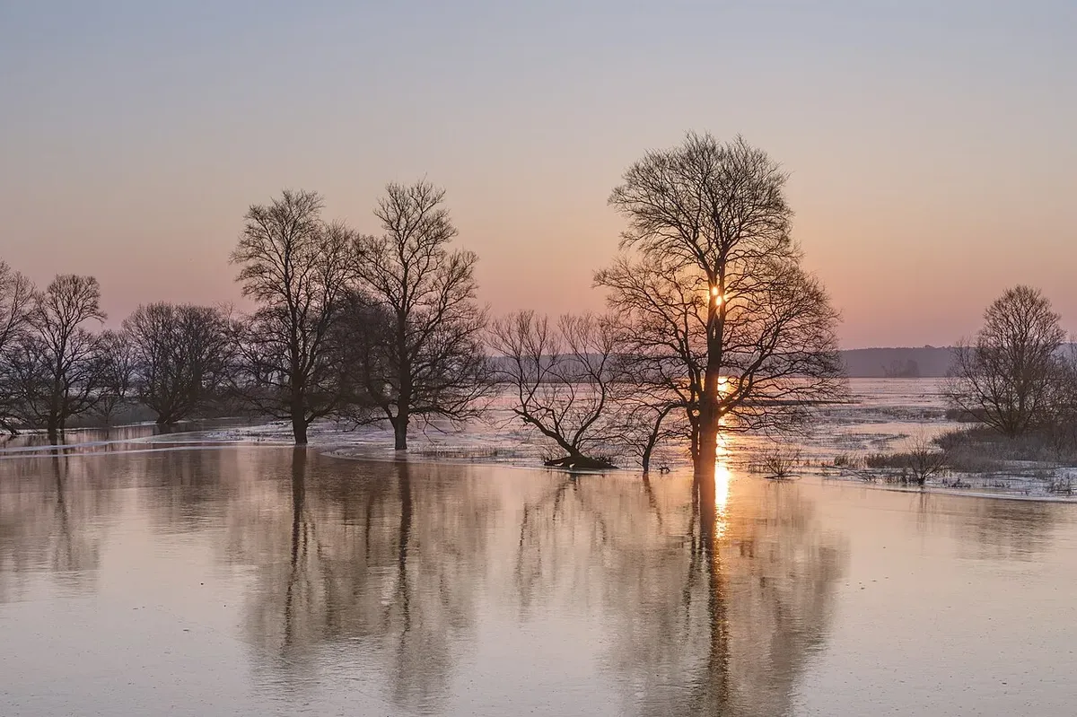 umwelt meine_sammlung_1280px_winterpolder_bei_schwedt_am_morgen_zum_sonnenaufgang