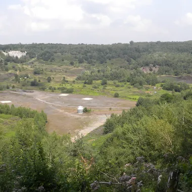 Fossillagerstätte Grube Messel - MesselFossilPit081310