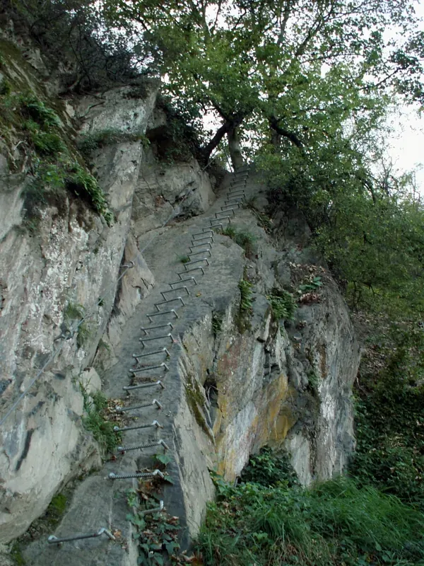 Mittelrheinklettersteig - Mittelrhein Klettersteig Boppard 23