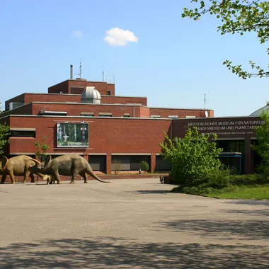LWL-Museum für Naturkunde mit Planetarium - Muenster Westfaelisches Museum Naturkunde 6305