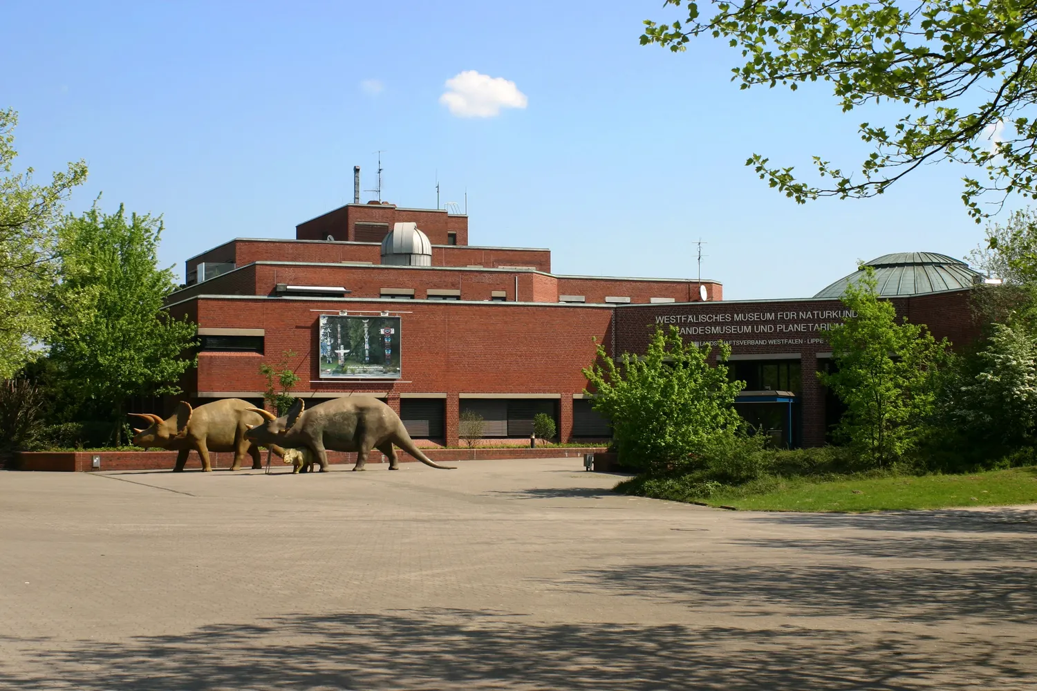 LWL-Museum für Naturkunde mit Planetarium - Muenster Westfaelisches Museum Naturkunde 6305