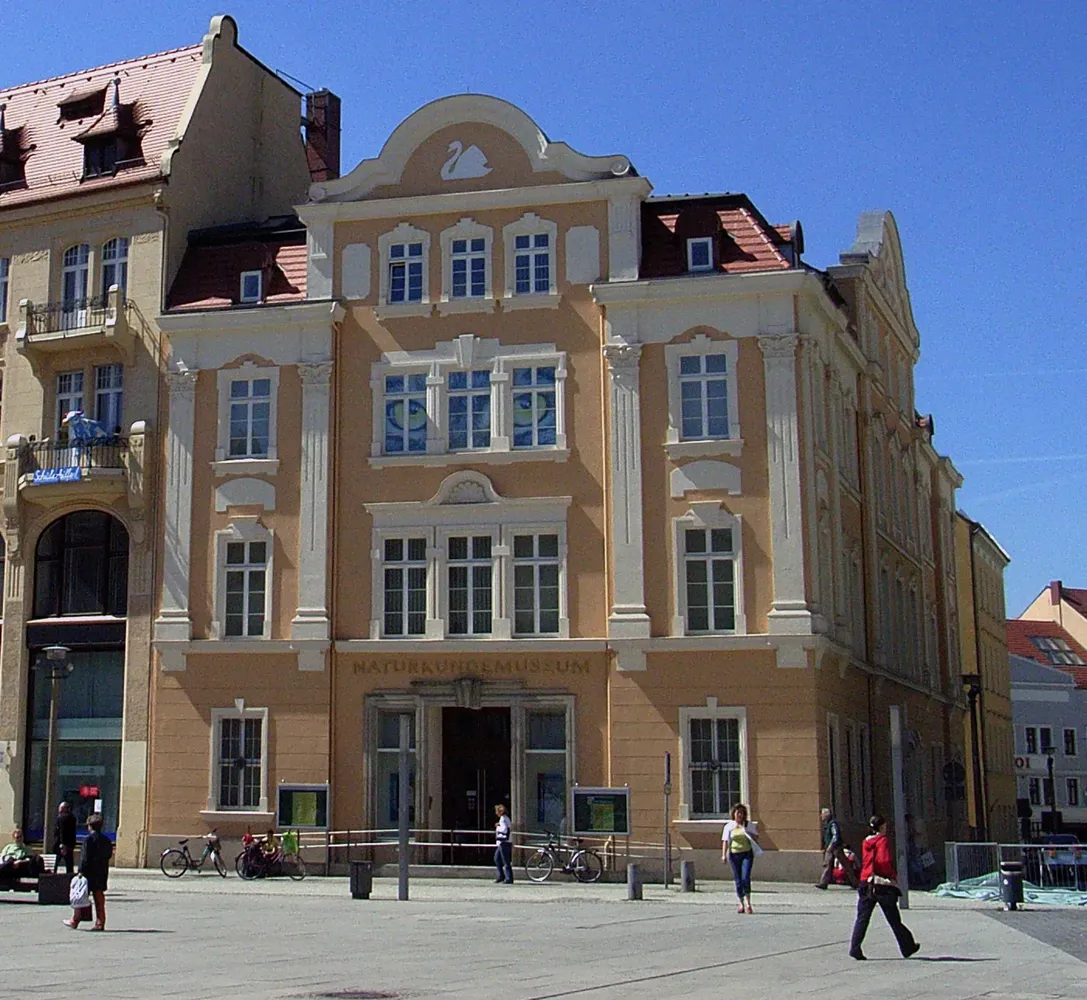 Senckenberg Naturkundemuseum Görlitz - Naturkundemuseum Görlitz