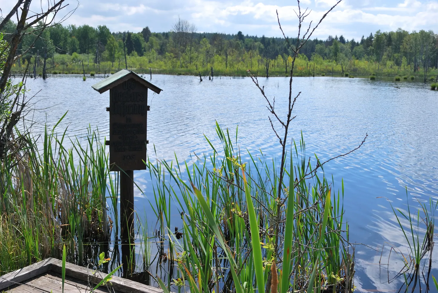 Schwenninger Moos - Neckar-Ursprung im Schwenninger Moos