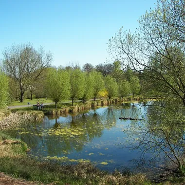Botanischer Garten - Neuer Botanischer Garten - Teich 002