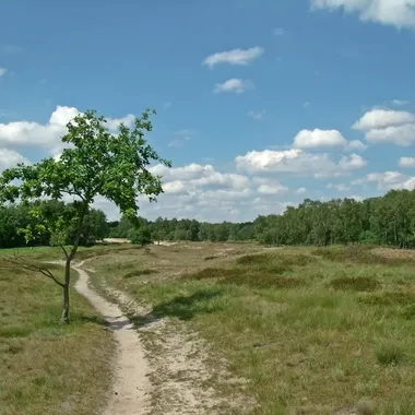 Boberger Dünen - NSG Boberger Niederung der Dünenweg