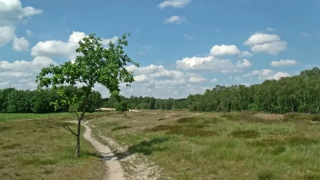 Boberger Dünen