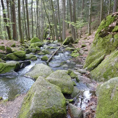 Naturschutzgebiet Hölle - NSG Hölle