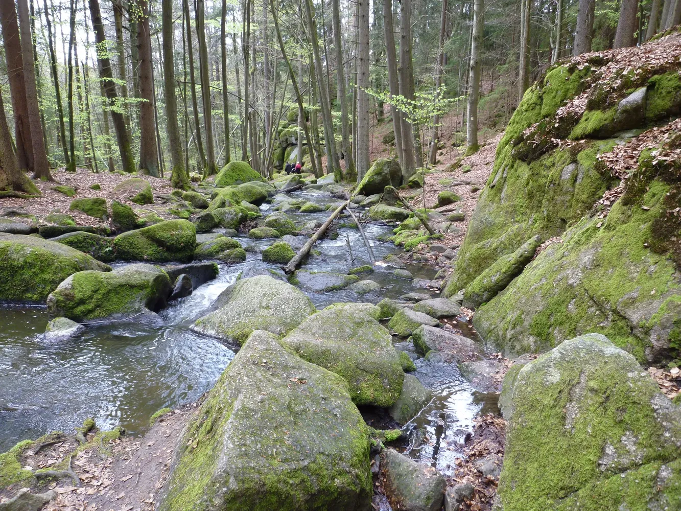 Naturschutzgebiet Hölle - NSG Hölle