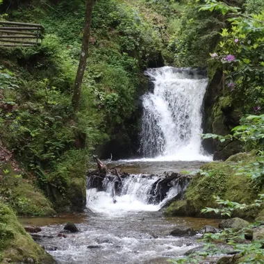 Geroldsauer Wasserfall - Panoramaweg Fischkultur Malschbach Geroldsauer Wasserfall 02