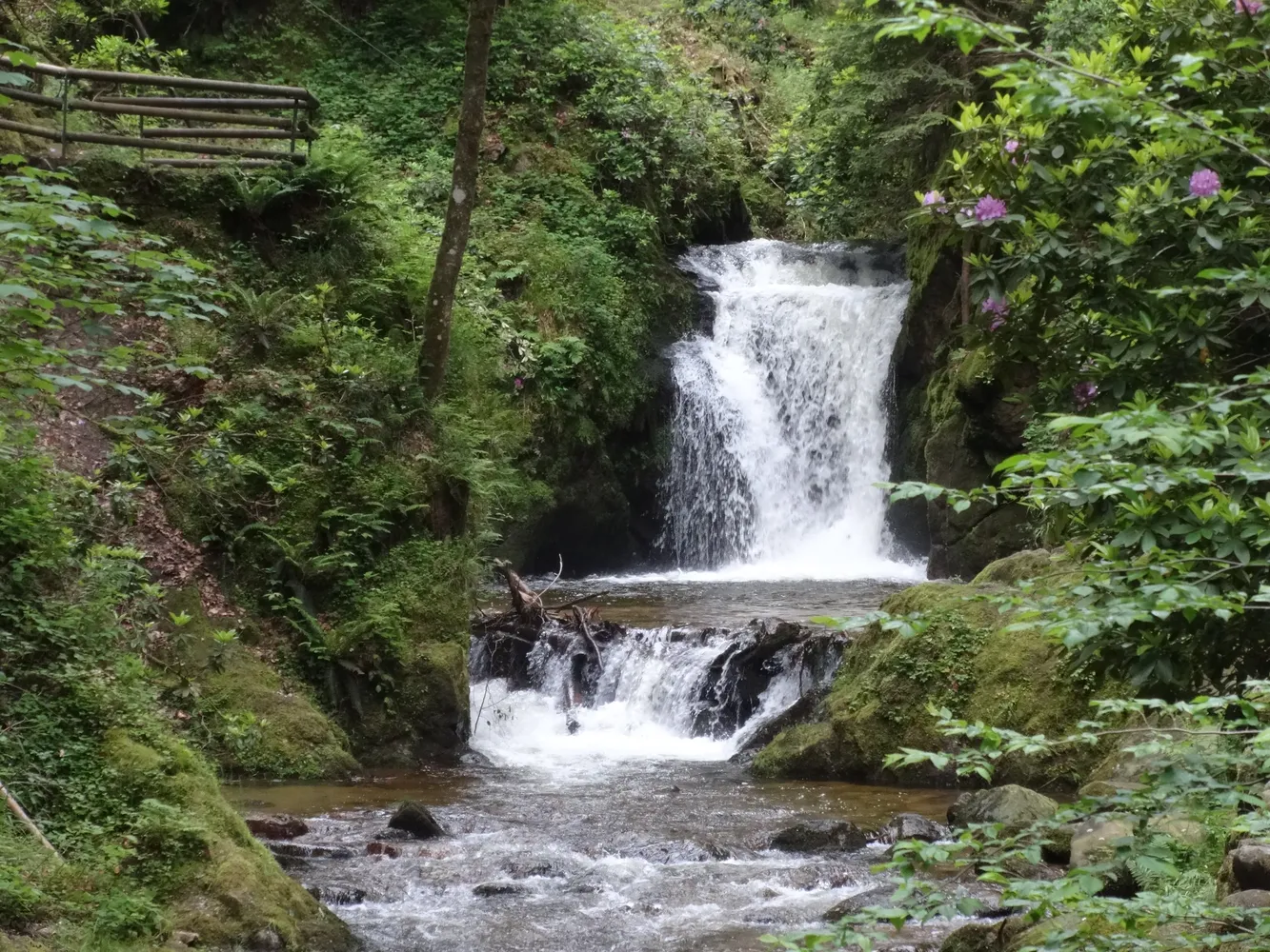 Geroldsauer Wasserfall - Panoramaweg Fischkultur Malschbach Geroldsauer Wasserfall 02