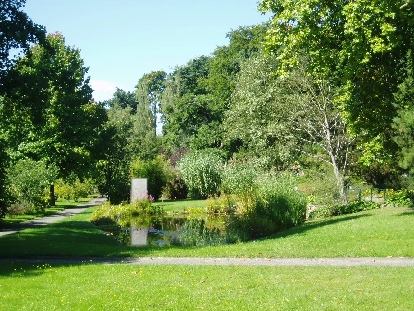 Botanischer Garten der Universität Potsdam - ParadiesgartenTeich 2