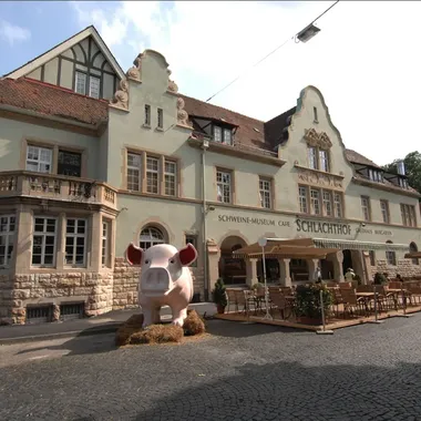 Schweinemuseum - Pig museum