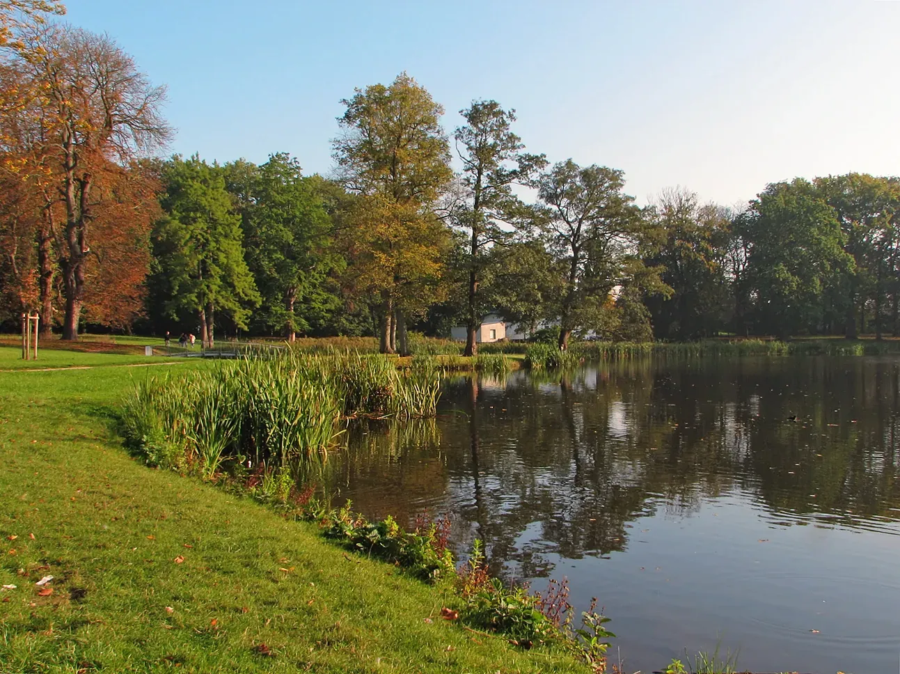 Schlosspark von Putbus - Putbus Park 2
