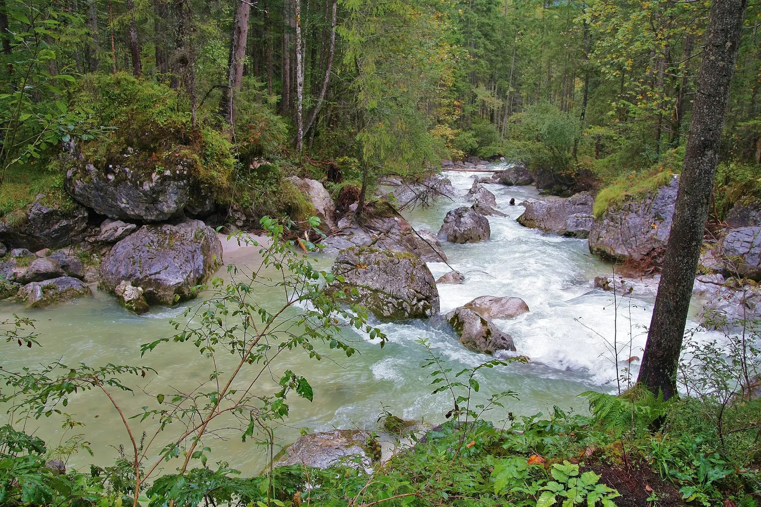 Zauberwald am Hintersee - Ramsauer Ache im Geotop Zauberwald