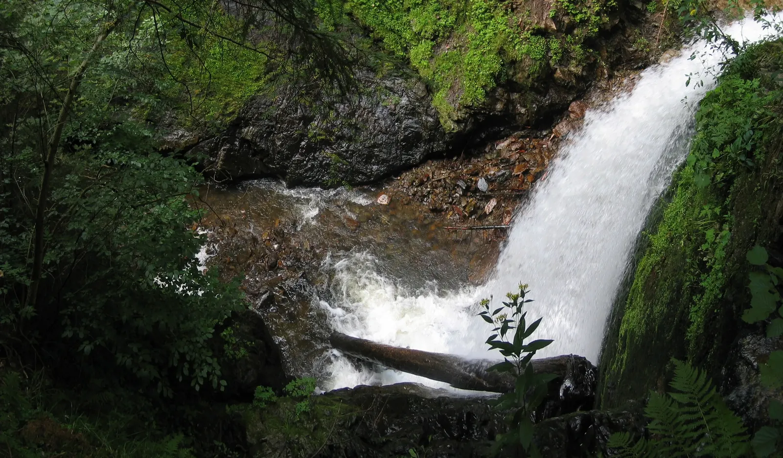 Ravennaschlucht in Breitnau - Ravennaschlucht wasserfall 02