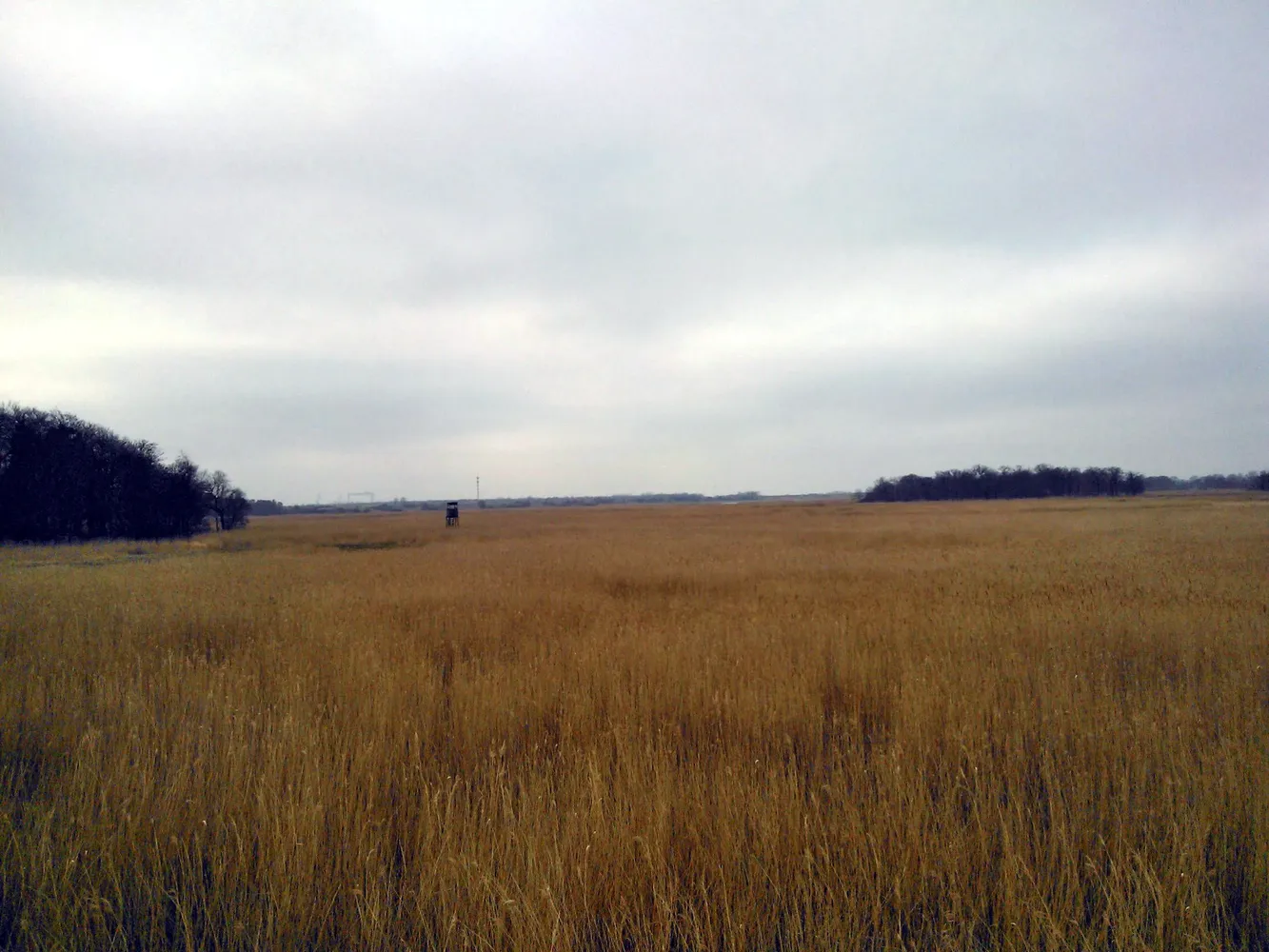 Rostocker Heide - Rostocker Heide Blick auf Radelwiesen