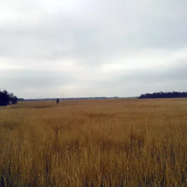 Rostocker Heide - Rostocker Heide Blick auf Radelwiesen