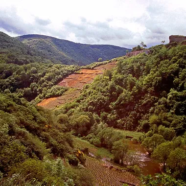 Rotweinwanderweg - Rotweinwanderweg(gwz)