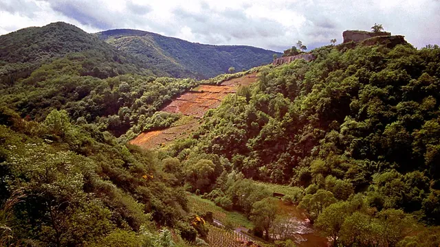 Rotweinwanderweg