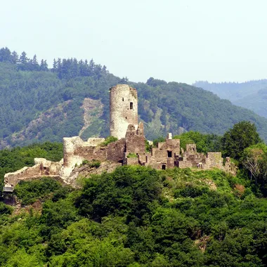 Burgruine Winneburg - Ruine Winneburg