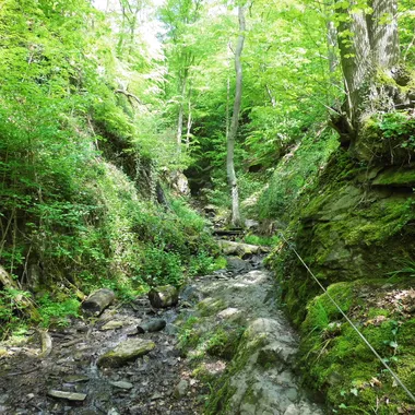 Ruppertsklamm - Ruppertsklamm Blick hinauf