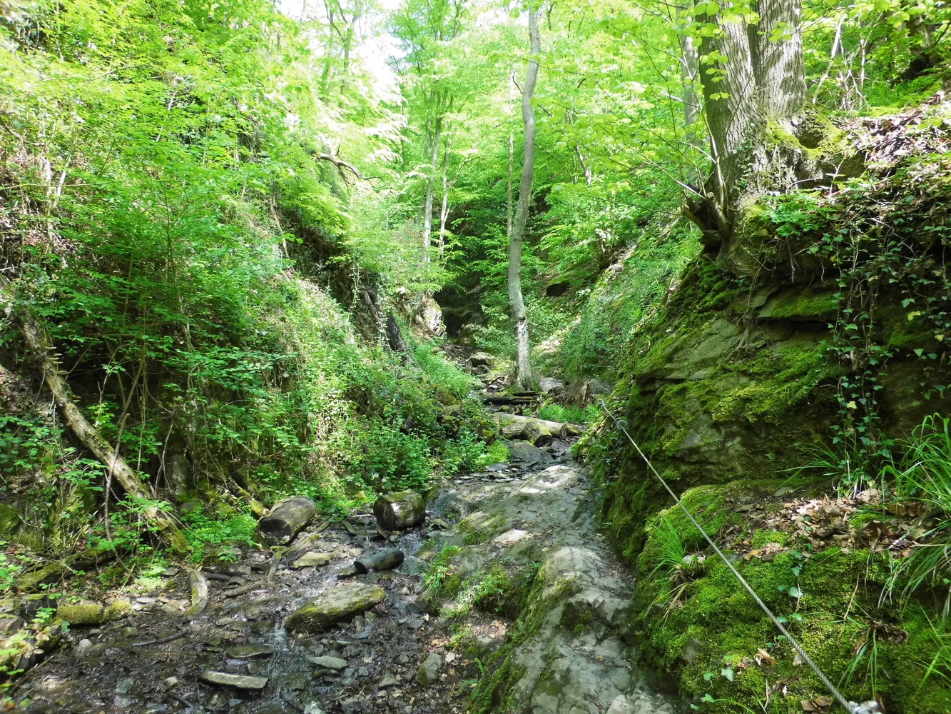 Ruppertsklamm - Ruppertsklamm Blick hinauf