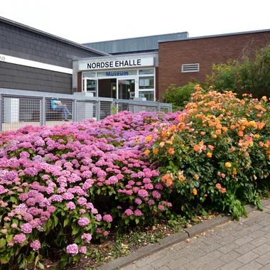 Museum Helgoland - Schleswig-Holstein, Kreis Pinneberg, Helgoland im Juli 2019 NIK 7767