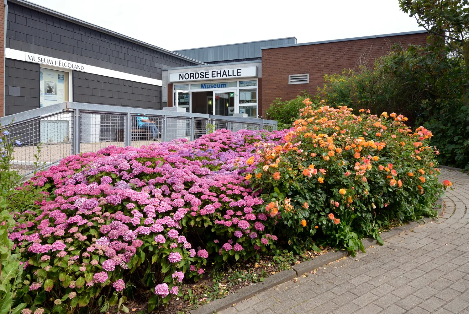 Museum Helgoland - Schleswig-Holstein, Kreis Pinneberg, Helgoland im Juli 2019 NIK 7767