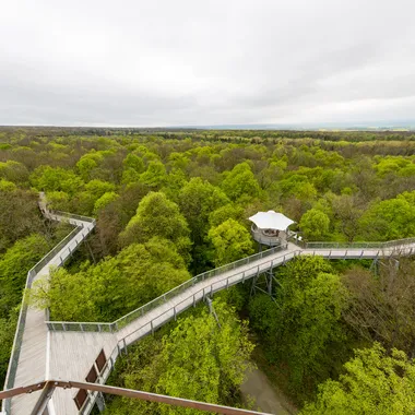 Nationalpark Hainich - Schönstedt, Nationalpark Hainich, Baumkronenpfad -- 2017 -- 7458