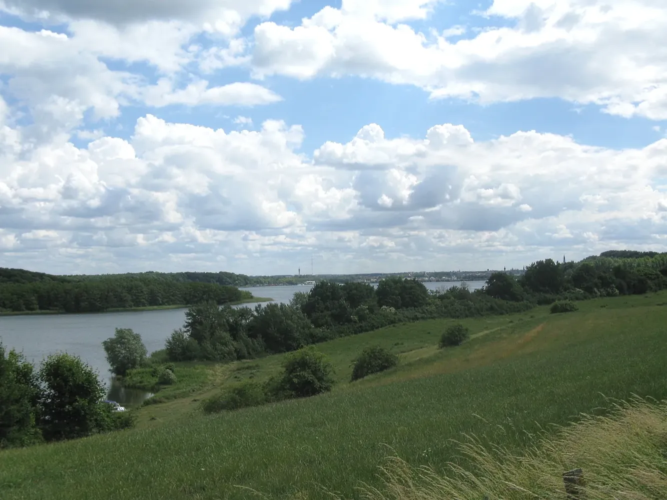 Schweriner Innensee - Schwerin Ziegelsee Nordufer 2008-06-17 021