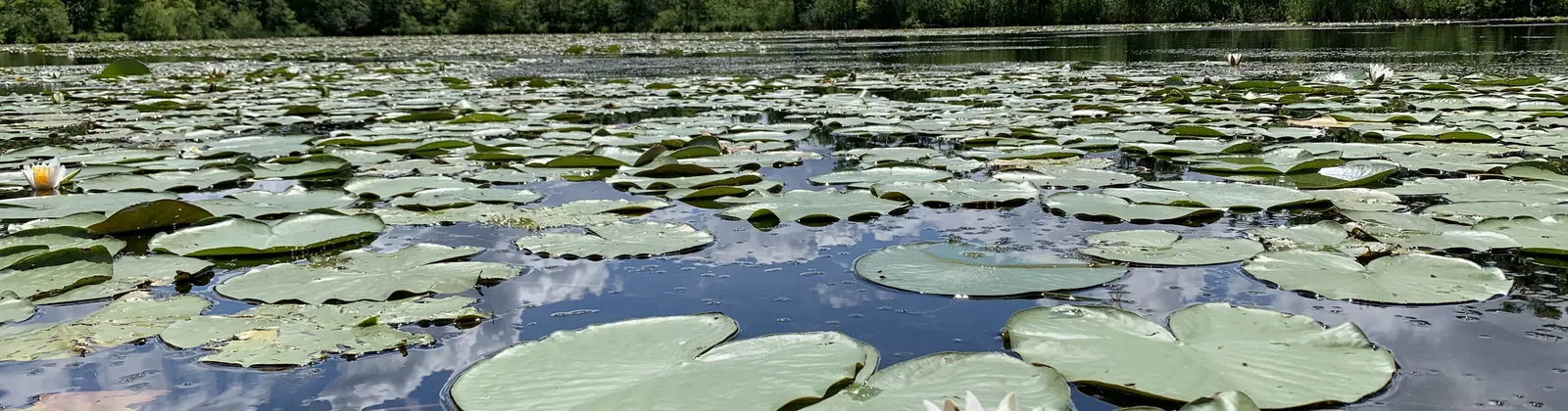 Mecklenburger Seenplatte