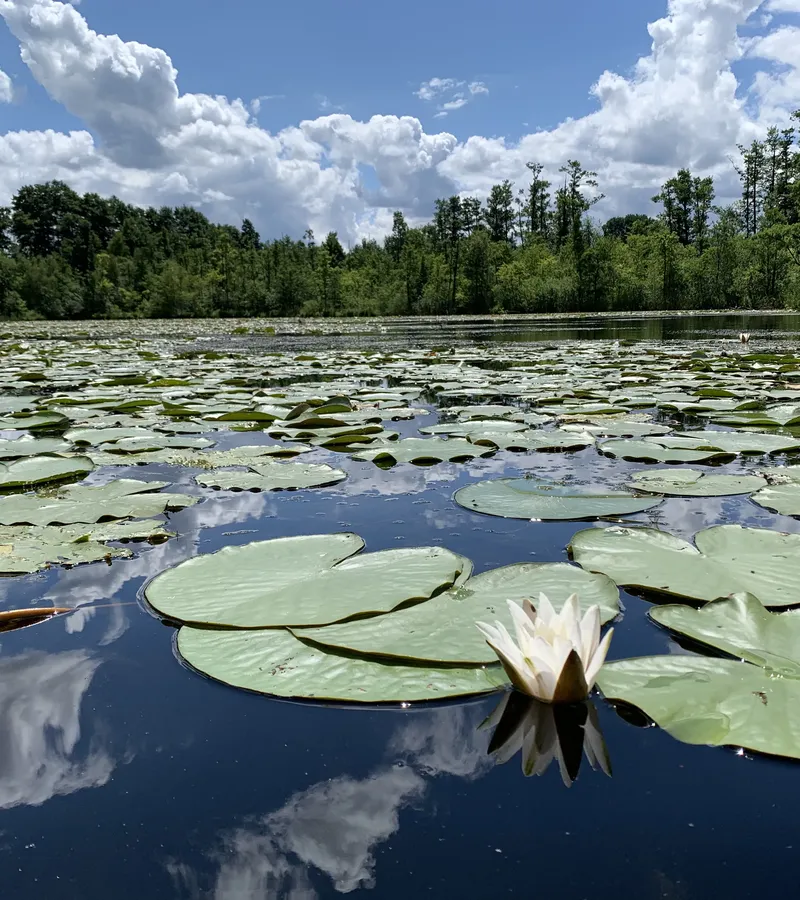 Mehr zu Mecklenburger Seenplatte