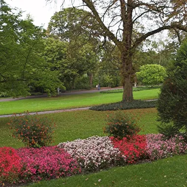 Stadtpark Mainz - Stadtpark Mainz